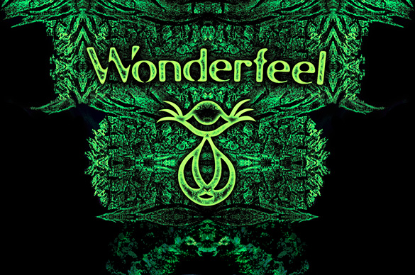 Wonderfeel